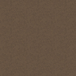 Tonal in Brown