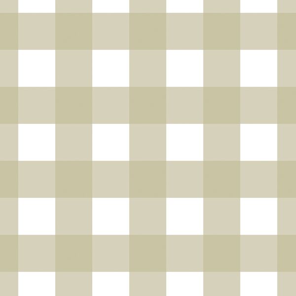Large Gingham in Light Mossy Green