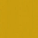 Bella Solids in Zest