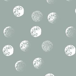 Moondance in Eucalyptus