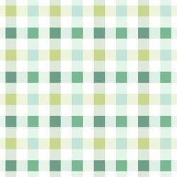 Irish Gingham in Charming