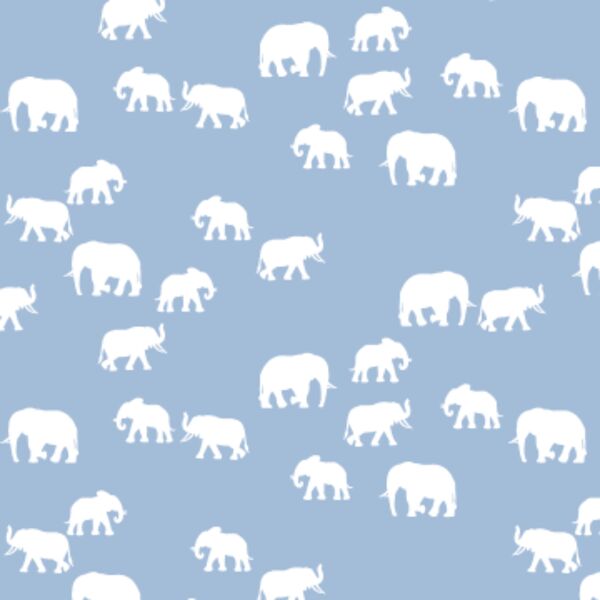 Elephant Silhouette in Water