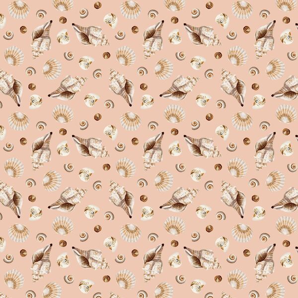 Scattered Shells in Coral