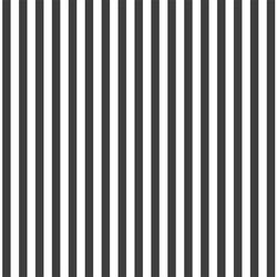 Dress Stripe in Onyx
