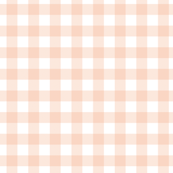 Gingham in Peaches