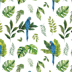 Jungle Macaw in White