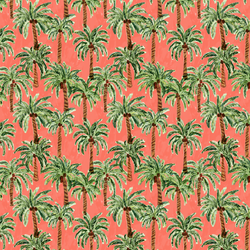 Little Palm Paradise in Punch