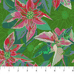 Poinsettia in Housewarming