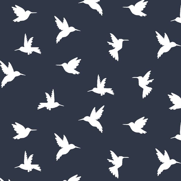 Hummingbird Silhouette in Eclipse