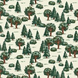 Forest for the Trees in Douglas Fir