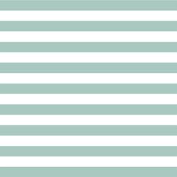 Horizontal Candy Stripe in Aspen