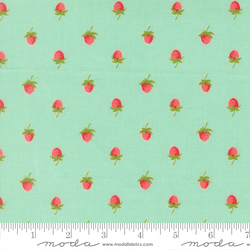 Berries in Aqua