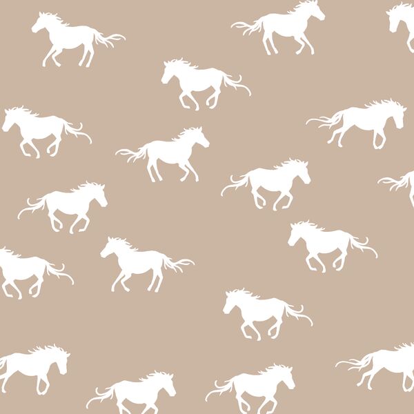 Horse Silhouette in Sand