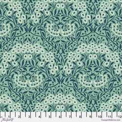 Michaelmas Daisy in Mint