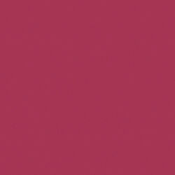 Solid in Light Wine