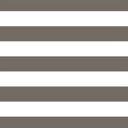 Horizontal Play Stripe in Stone