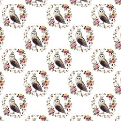 Little Cambridge Owl in White