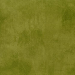 Palette in Olive