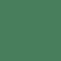 Confetti Cotton in Cactus