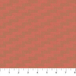 Steps in Coral