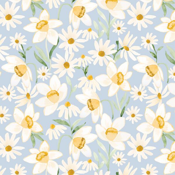 Large Daffodil Daisy in Robin
