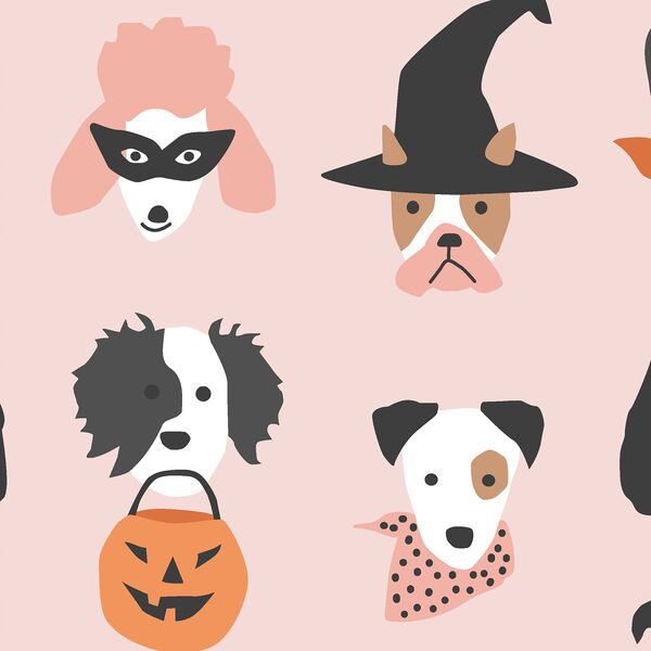 Large Halloween Pups in Cotton Candy