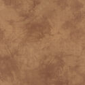 Palette in Blush