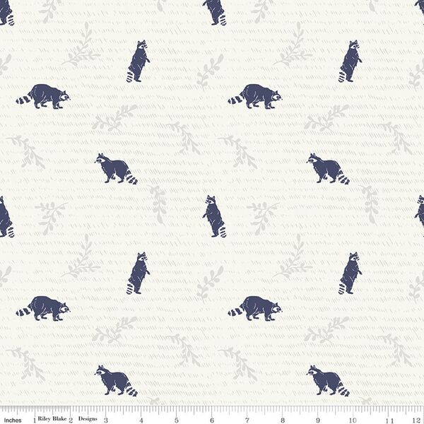 Raccoons in Canyon Rose