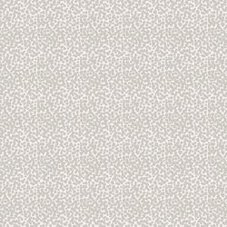 Pebbles in Terra