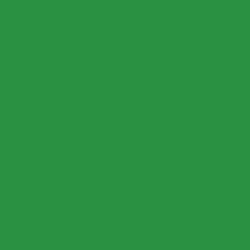 Ruby and Bee Solid in Evergreen