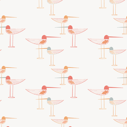 Stilted Sandpiper in Sunkissed