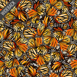 Packed Butterfly Wings Wideback in Multi