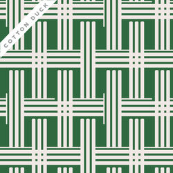 Rami Cotton Duck in Green