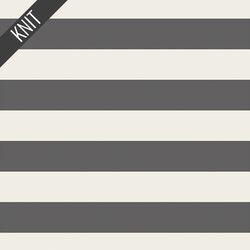Striped Bold Knit in Graphite
