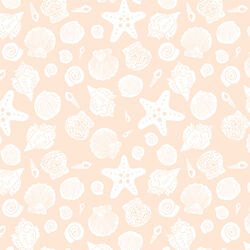 Sea Shells in Sandy