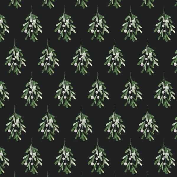 Mistletoe in Midnight