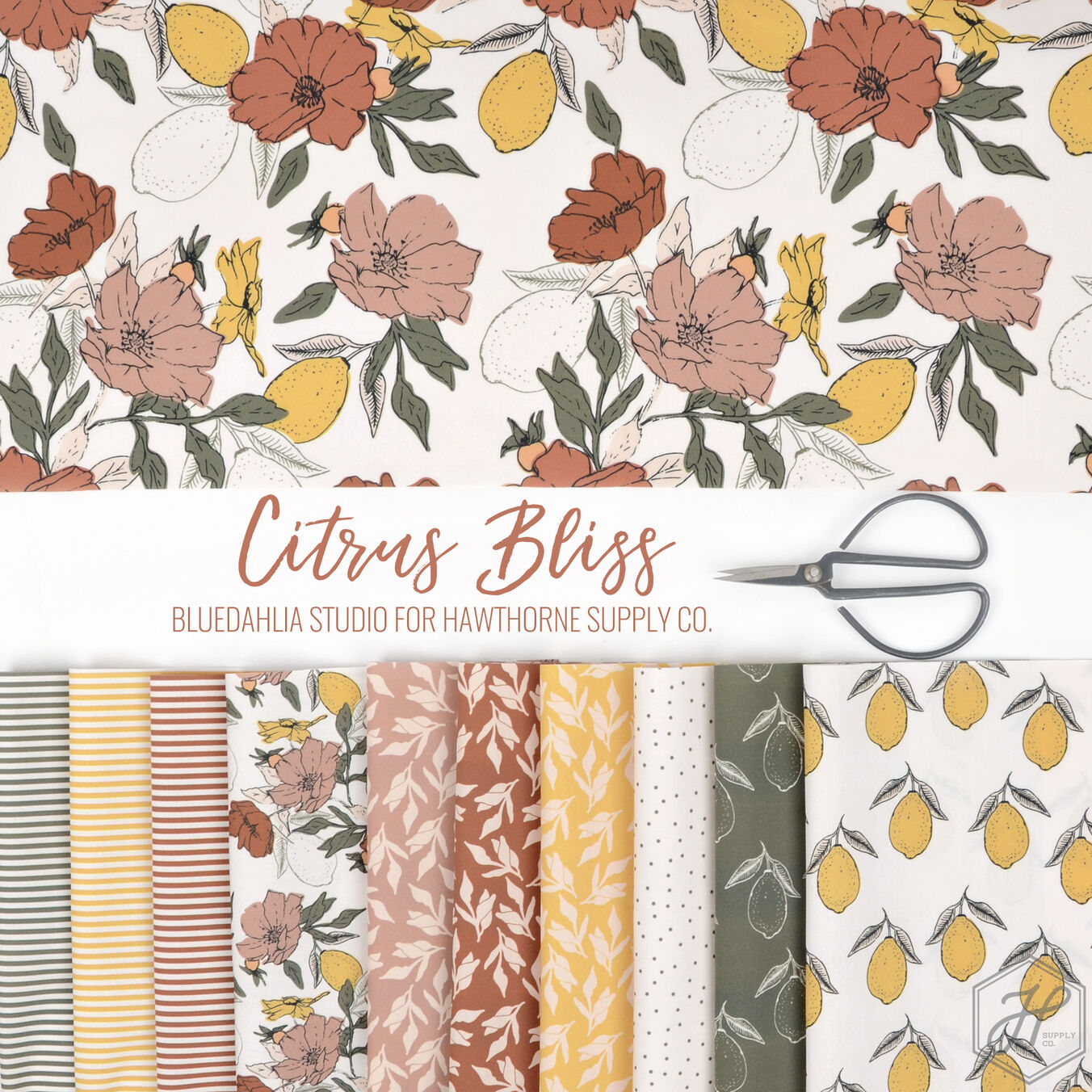 Citrus Bliss Poster Image