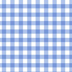 Sweet Gingham in Pool Blue