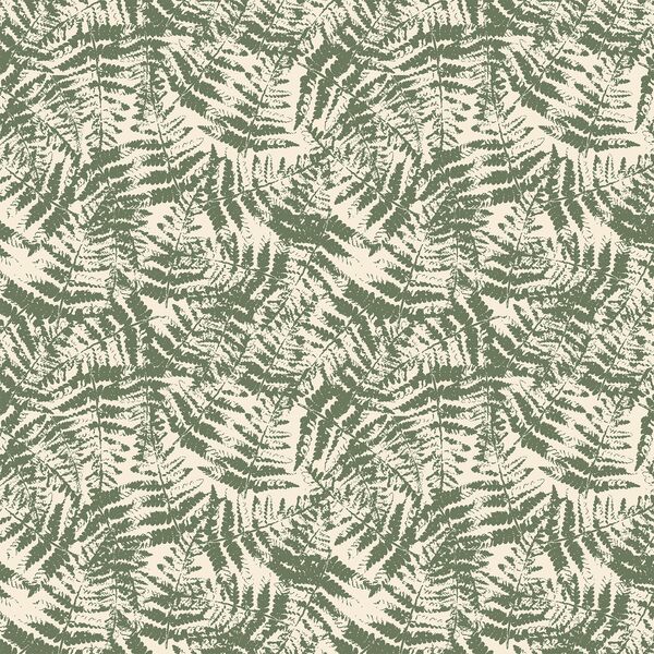 Scattered Ferns in Forest