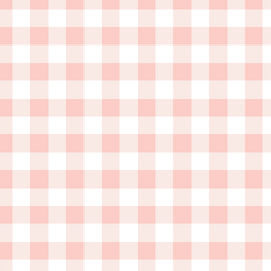 Gingham in Pink