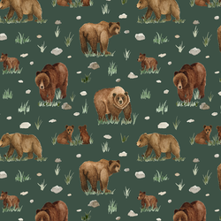 Grizzly Bears in Evergreen