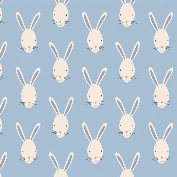 Bunny Face in Baby Blue