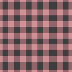 Medium Gingham in Holiday
