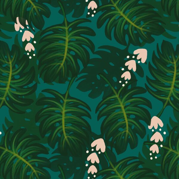 Large Monstera Leaves in Lush
