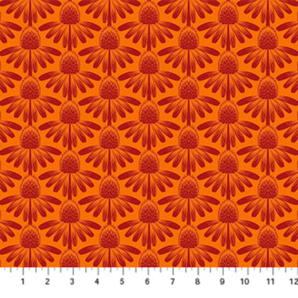 Coneflower in Tangerine