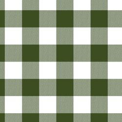 Winter Gingham in Evergreen