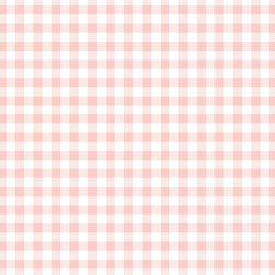 Little Gingham in Pink