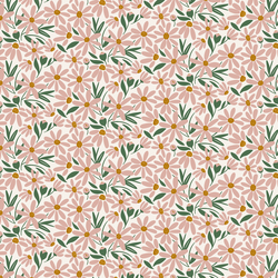 Daisy Garden in Bloom