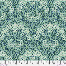 Michaelmas Daisy in Mint
