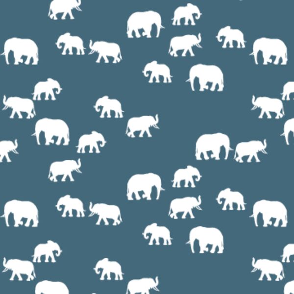 Elephant Silhouette in Lake